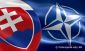 Nelnk Generlneho tbu OS SR sa zastnil Vojenskho vboru NATO