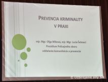 Prevencia kriminality v podmienkach Ministerstva obrany Slovenskej republiky 